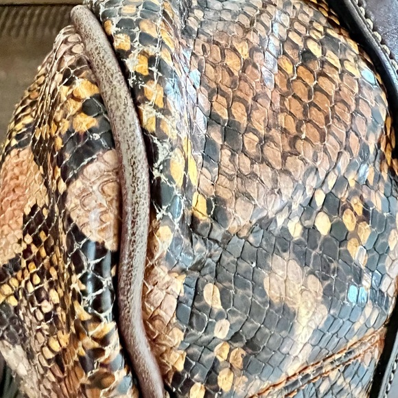 Reptile Brown Dooney Bourke Purse - Picture 13 of 16